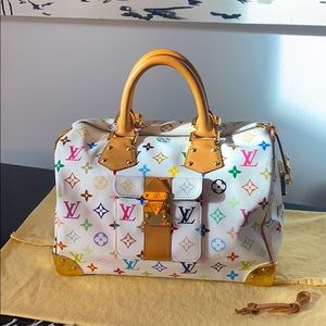 Louis Vuitton Multicolor Speedy